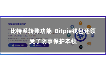 比特派转账功能 Bitpie钱包还领受了阴事保护本领