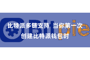 比特派多链支持 当你第一次创建比特派钱包时