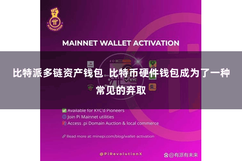 比特派多链资产钱包  比特币硬件钱包成为了一种常见的弃取