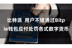 比特派  用户不错通过Bitpie钱包应付处罚各式数字货币