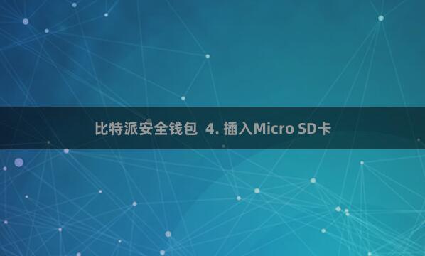 比特派安全钱包  4. 插入Micro SD卡