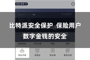 比特派安全保护  保险用户数字金钱的安全